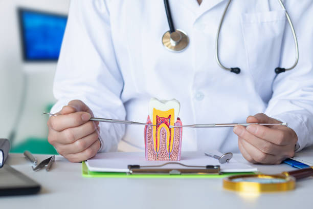 Best Dental Abscess Treatment in Jefferson, TX